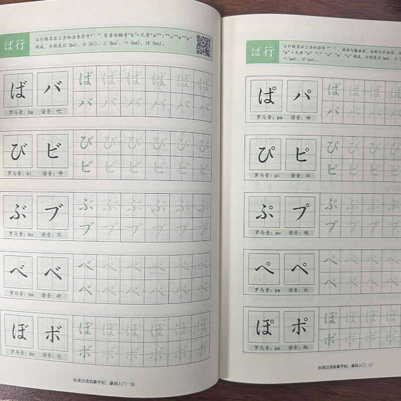 Chinese Calligraphy Practice Book - Yeni Başlayanlar İçin Japon Hiragana ve
